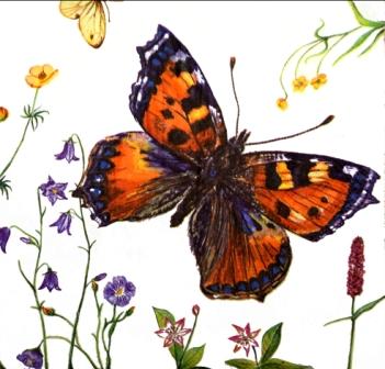 Serwetki decoupage - wzór 15 - motyle